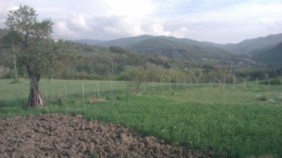 immagine della webcam nei dintorni di Carrega Ligure: webcam Cantalupo Ligure