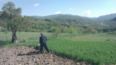 immagine della webcam nei dintorni di Passo del Penice: webcam Cantalupo Ligure