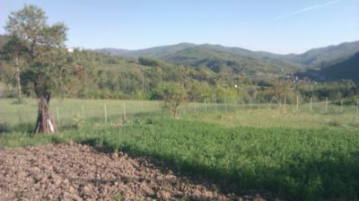 immagine della webcam nei dintorni di Propata: webcam Cantalupo Ligure