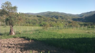 immagine della webcam nei dintorni di Menconico: webcam Cantalupo Ligure