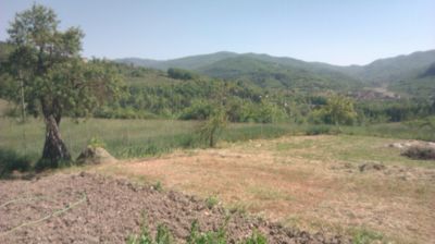 immagine della webcam nei dintorni di Brallo di Pregola: webcam Cantalupo Ligure