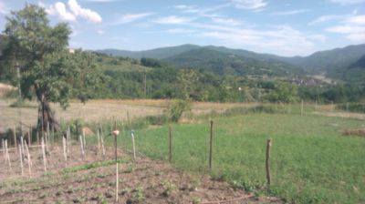immagine della webcam nei dintorni di Propata: webcam Cantalupo Ligure