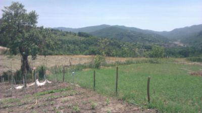 immagine della webcam nei dintorni di Menconico: webcam Cantalupo Ligure