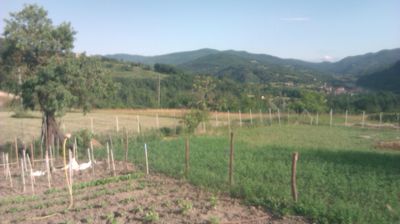 immagine della webcam nei dintorni di Busalla: webcam Cantalupo Ligure