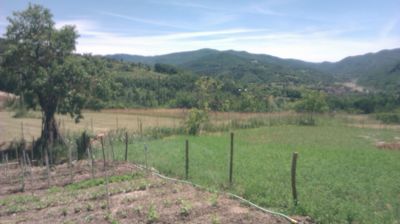 immagine della webcam nei dintorni di Brallo di Pregola: webcam Cantalupo Ligure