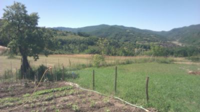 immagine della webcam nei dintorni di Bobbio: webcam Cantalupo Ligure
