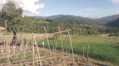 immagine della webcam nei dintorni di Cabella Ligure: webcam Cantalupo Ligure