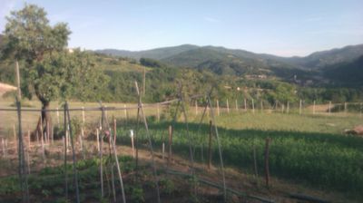 immagine della webcam nei dintorni di Busalla: webcam Cantalupo Ligure