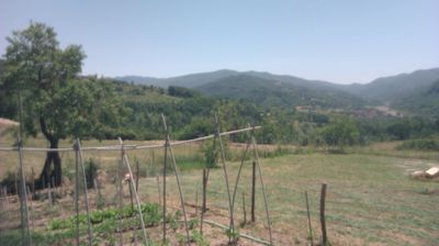 immagine della webcam nei dintorni di Pozzolo Formigaro: webcam Cantalupo Ligure