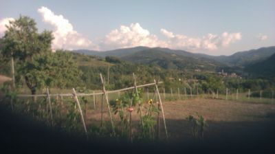 immagine della webcam nei dintorni di Propata: webcam Cantalupo Ligure