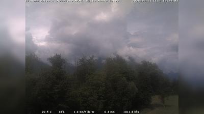 immagine della webcam nei dintorni di Pian del Cansiglio: webcam Limana