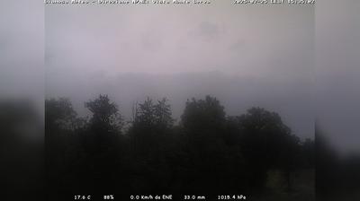 immagine della webcam nei dintorni di Pian del Cansiglio: webcam Limana