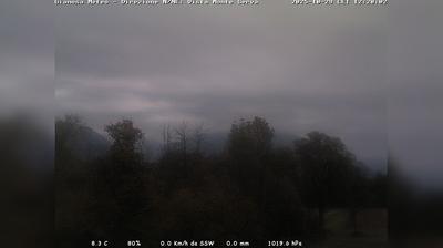 immagine della webcam nei dintorni di Pian del Cansiglio: webcam Limana