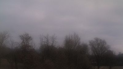 immagine della webcam nei dintorni di Belluno: webcam Limana