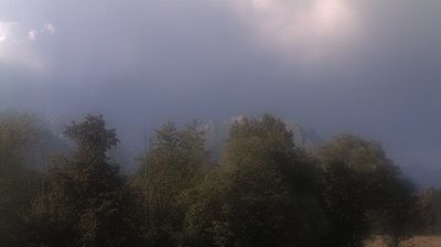 immagine della webcam nei dintorni di Pian del Cansiglio: webcam Limana