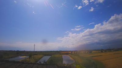 immagine della webcam nei dintorni di Lignano Pineta: webcam Carlino