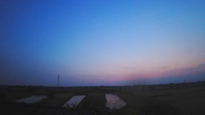 immagine della webcam nei dintorni di Caorle: webcam Carlino