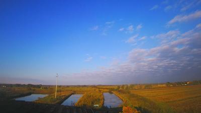 immagine della webcam nei dintorni di Monfalcone: webcam Carlino