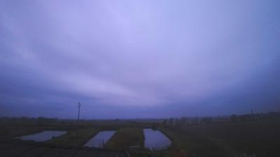 immagine della webcam nei dintorni di Lignano Pineta: webcam Carlino