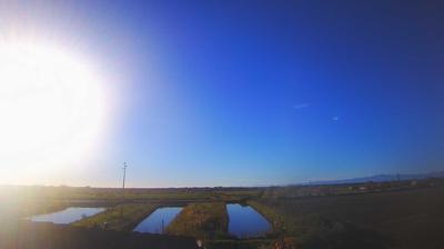 immagine della webcam nei dintorni di Lignano Sabbiadoro: webcam Carlino