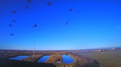 immagine della webcam nei dintorni di Bibione Pineda: webcam Carlino