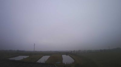 immagine della webcam nei dintorni di Grado: webcam Carlino