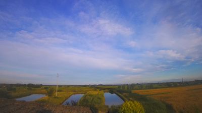 immagine della webcam nei dintorni di Caorle: webcam Carlino