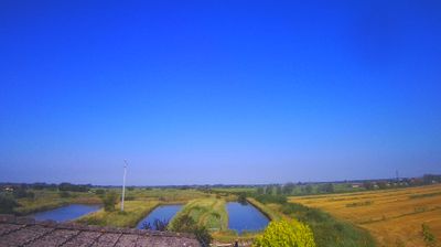 immagine della webcam nei dintorni di Lignano Pineta: webcam Carlino