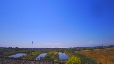 immagine della webcam nei dintorni di Grado Pineta: webcam Carlino