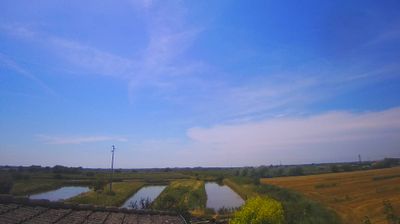 immagine della webcam nei dintorni di Medea: webcam Carlino