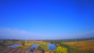 immagine della webcam nei dintorni di Caorle: webcam Carlino
