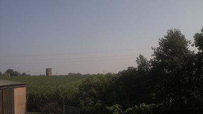 immagine della webcam nei dintorni di Alfonsine: webcam Argenta