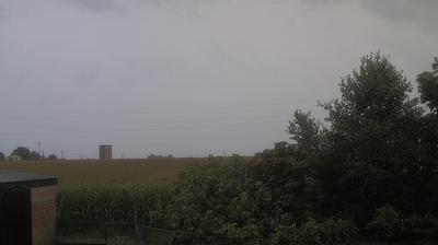 immagine della webcam nei dintorni di Cotignola: webcam Argenta