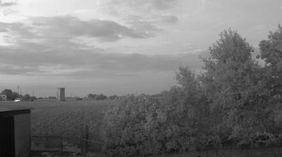 immagine della webcam nei dintorni di Alfonsine: webcam Argenta