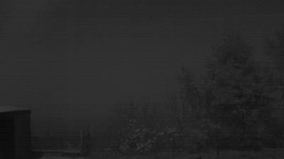 immagine della webcam nei dintorni di Porto Garibaldi: webcam Longastrino