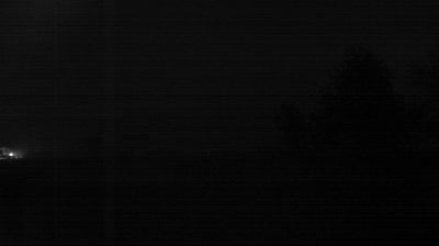 immagine della webcam nei dintorni di Punta Marina: webcam Longastrino