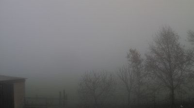 immagine della webcam nei dintorni di Lido di Pomposa: webcam Longastrino