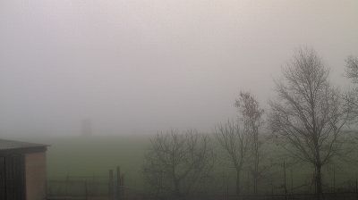 immagine della webcam nei dintorni di Cotignola: webcam Longastrino