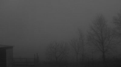 immagine della webcam nei dintorni di Lavezzola: webcam Longastrino