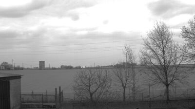 immagine della webcam nei dintorni di Ravenna: webcam Longastrino