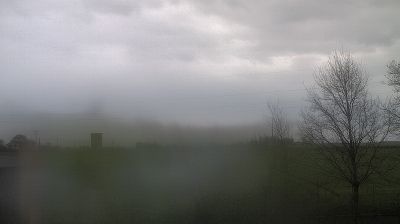 immagine della webcam nei dintorni di Bagnacavallo: webcam Longastrino