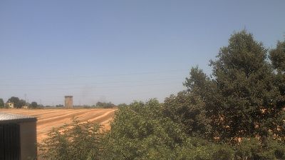 immagine della webcam nei dintorni di Cotignola: webcam Longastrino