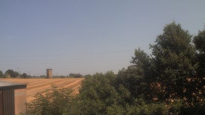immagine della webcam nei dintorni di Ravenna: webcam Longastrino