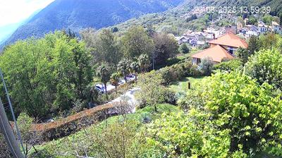 immagine della webcam nei dintorni di Curiglia con Monteviasco: webcam Trarego Viggiona