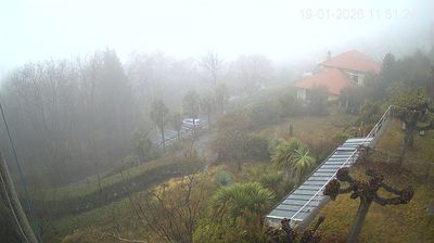 immagine della webcam nei dintorni di Brezzo di Bedero: webcam Trarego Viggiona