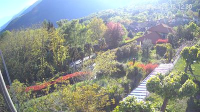 immagine della webcam nei dintorni di Maccagno: webcam Trarego Viggiona