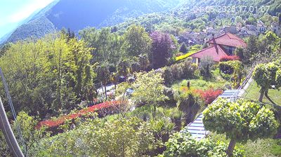 immagine della webcam nei dintorni di Druogno: webcam Trarego Viggiona