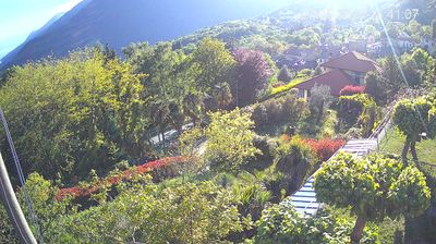 immagine della webcam nei dintorni di Druogno: webcam Trarego Viggiona