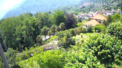 immagine della webcam nei dintorni di Brezzo di Bedero: webcam Trarego Viggiona