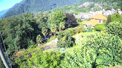 immagine della webcam nei dintorni di Cannobio: webcam Trarego Viggiona